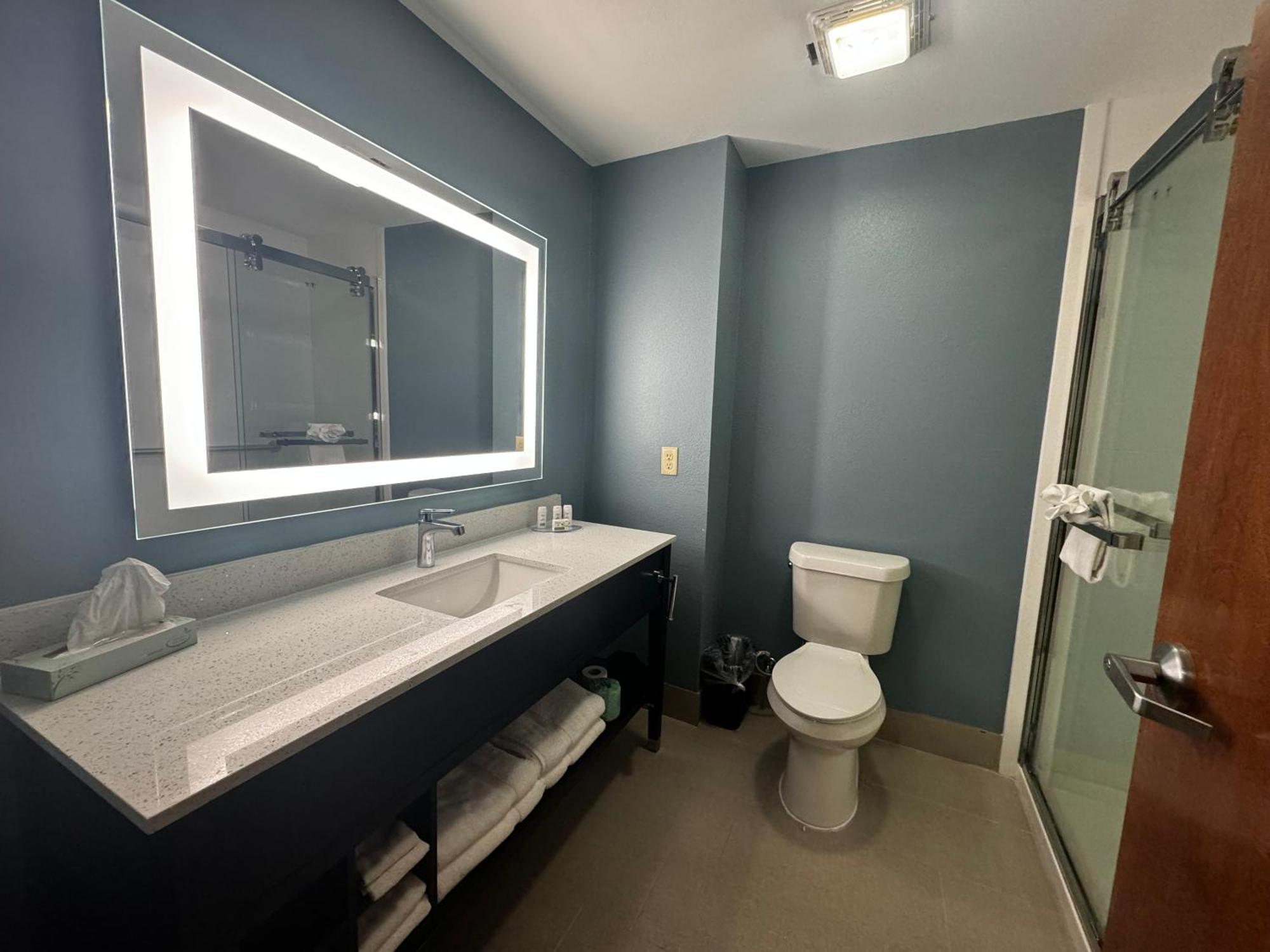 Wingate By Wyndham Tx Hotel