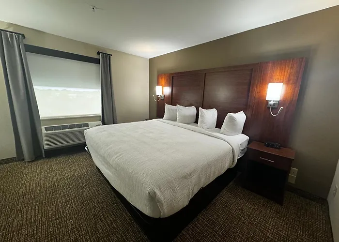 Wingate By Wyndham College Station Tx